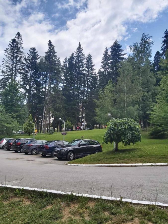 Premium Apartment In Borovets Gardens Complex Extérieur photo