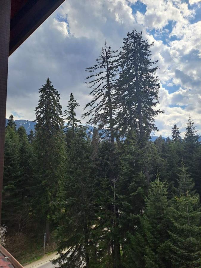 Premium Apartment In Borovets Gardens Complex Extérieur photo